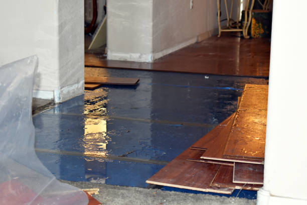 Professional Basement Flood Cleanup technician working in Williamston, MI