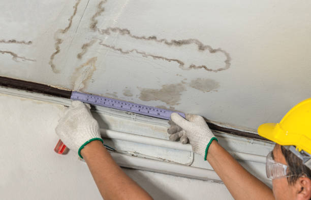 Reliable Basement Flood Cleanup contractor in Williamston, MI by Aqua Guard Water Damage
